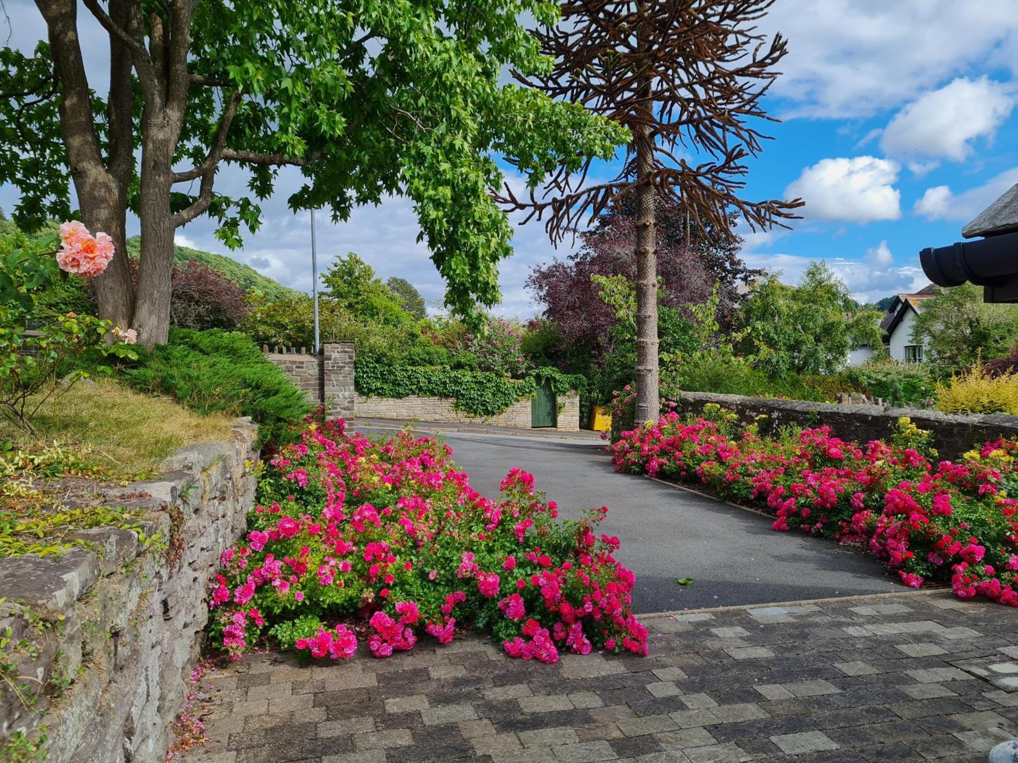 Camden Lodge B&B And Cottage Brecon Rom bilde