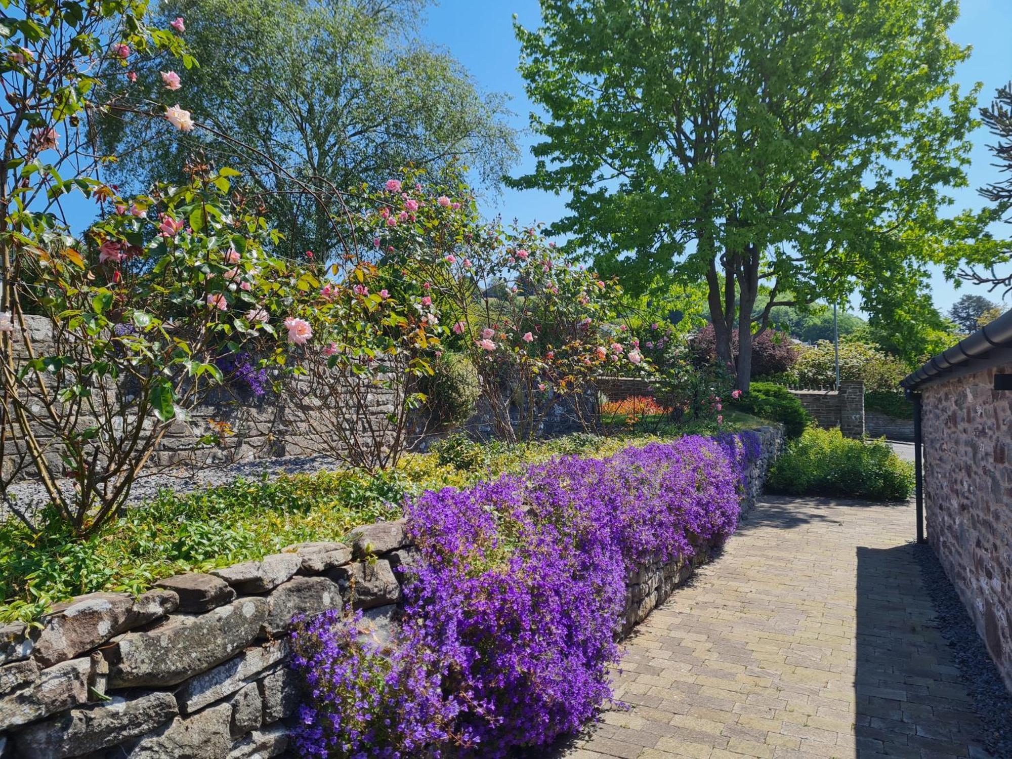 Camden Lodge B&B And Cottage Brecon Rom bilde